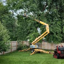 Best Hazardous Tree Removal  in Union City, PA